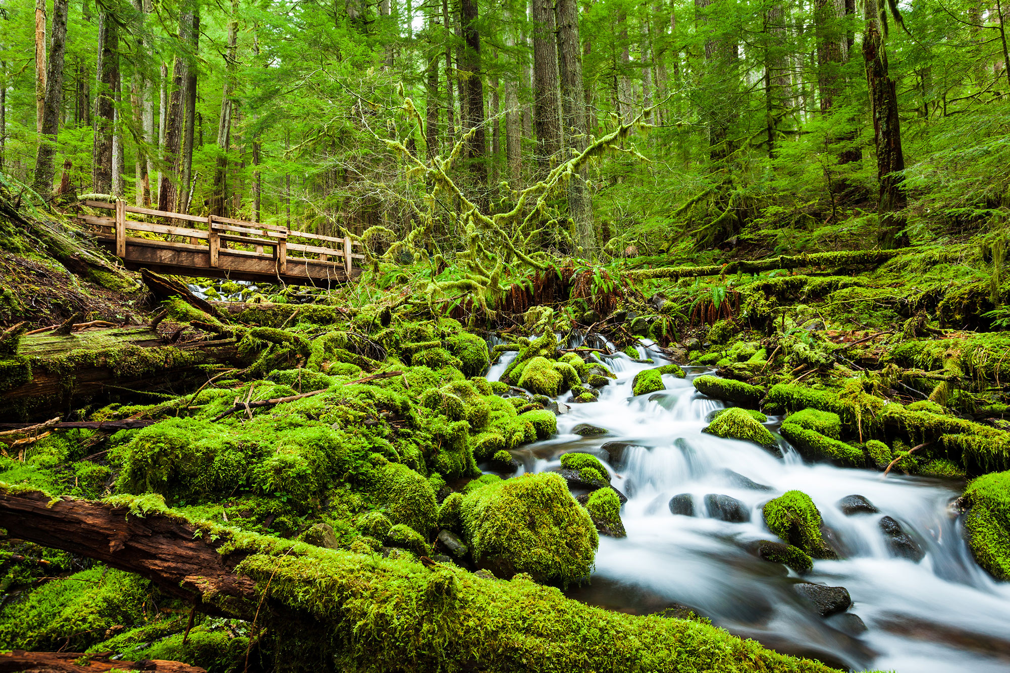 Olympic National Park, Washington