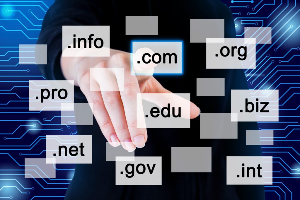 What is a domain name